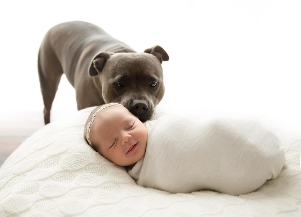 Newborn baby laying smiling with dog behind her 