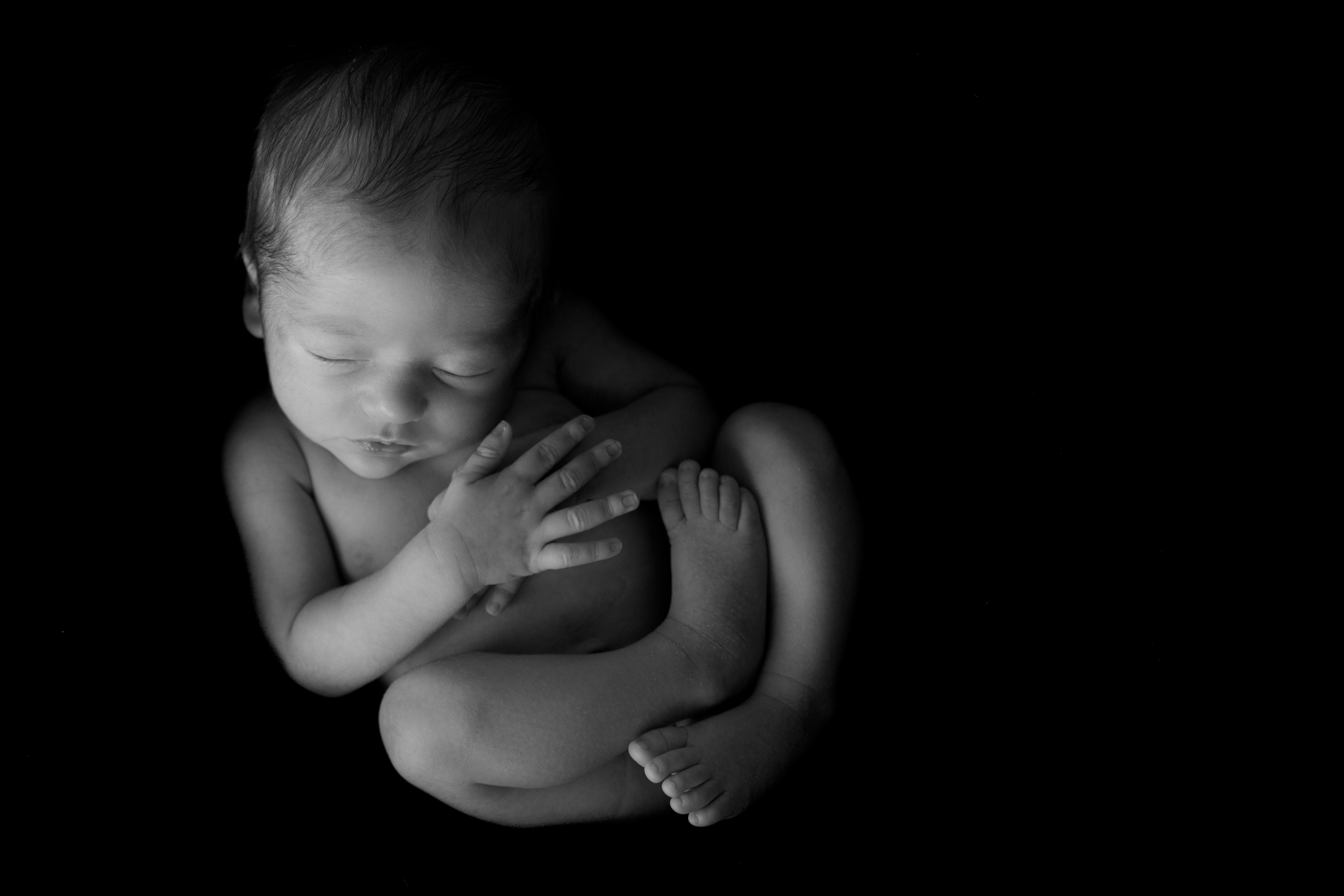 Newborn baby posed comfortably for black and white photo