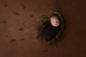 Newborn photographer Melbourne.