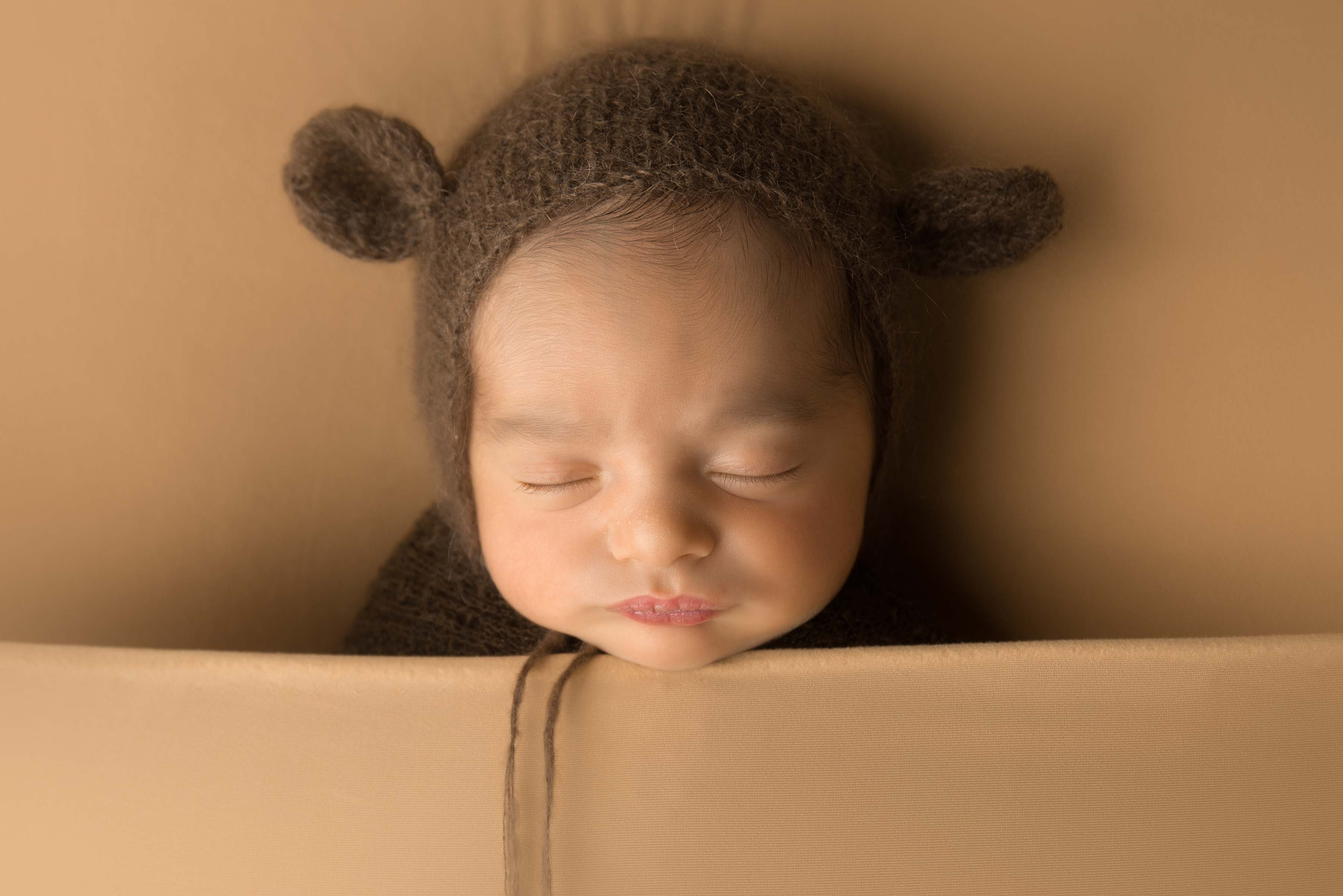 Little bear. Newborn photographer Melbourne. 